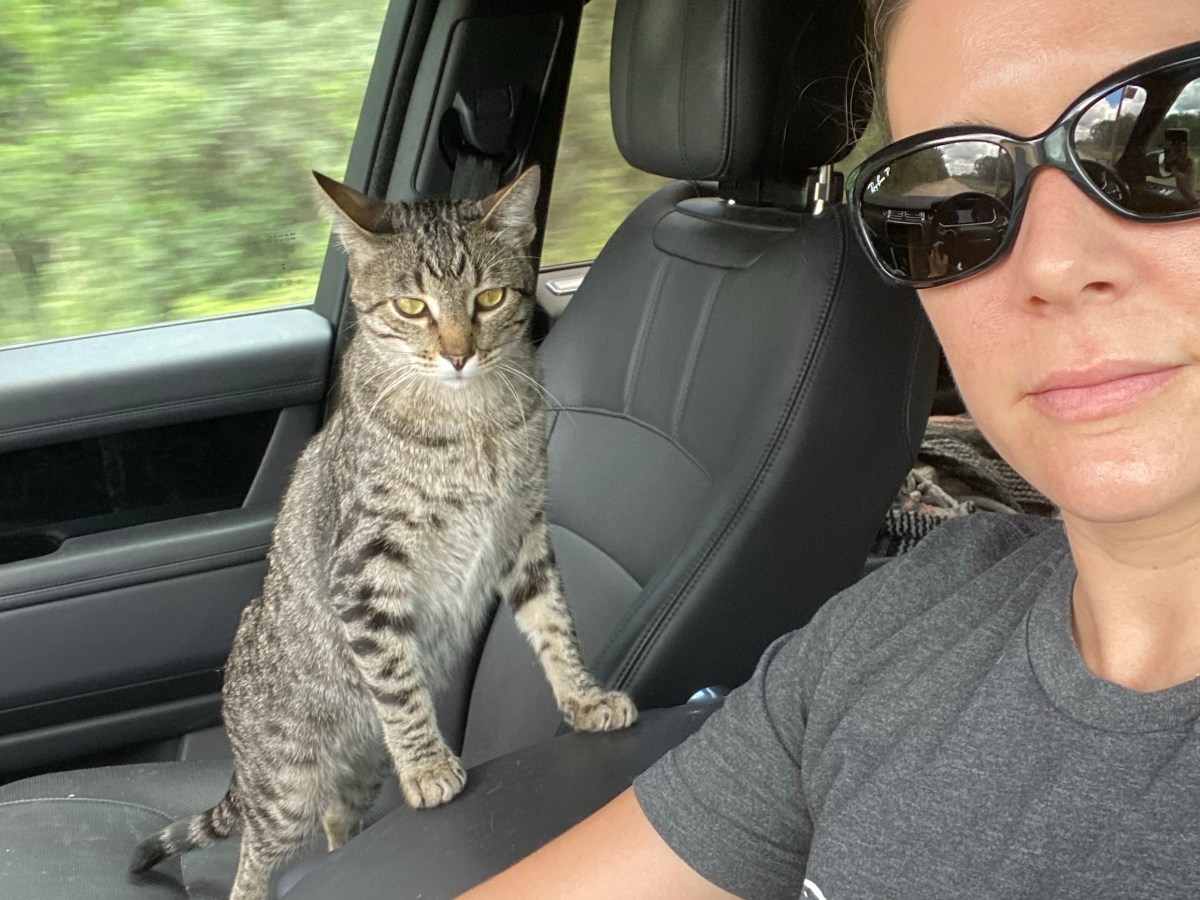 Do Not Read This While&nbsp;Eating