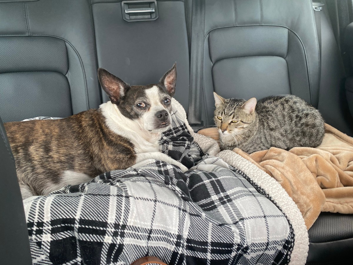 Titles are Hard: A Travel&nbsp;Journal